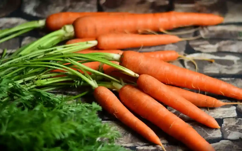 all season fruits-Carrots