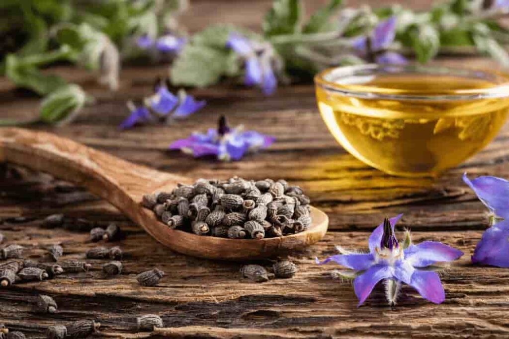 Borage Seed Oil