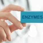 probiotic multi enzyme 1