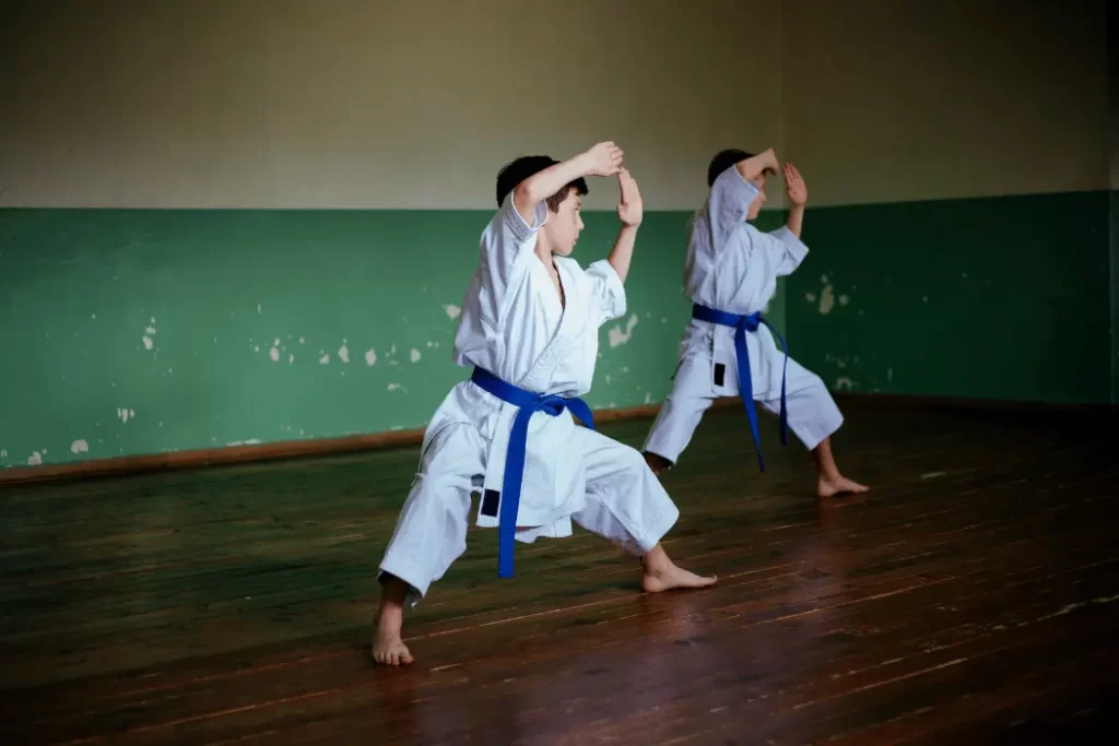 taekwondo vs karate 1