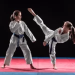 taekwondo vs karate