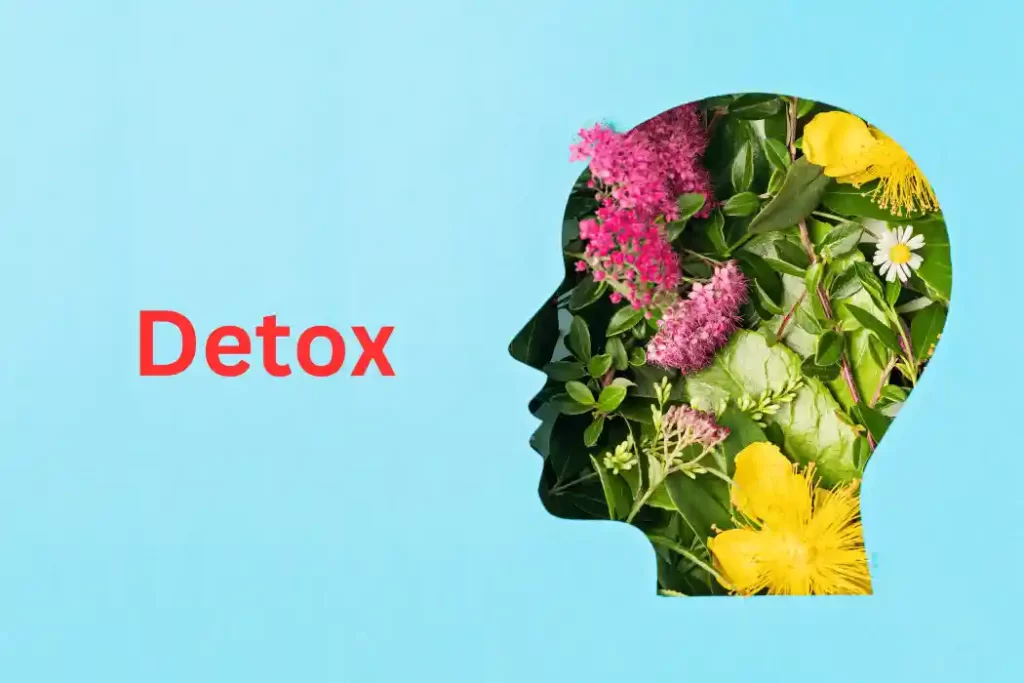 Psychological Aspects of Detox (1)