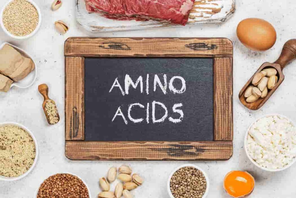 Amino Acid