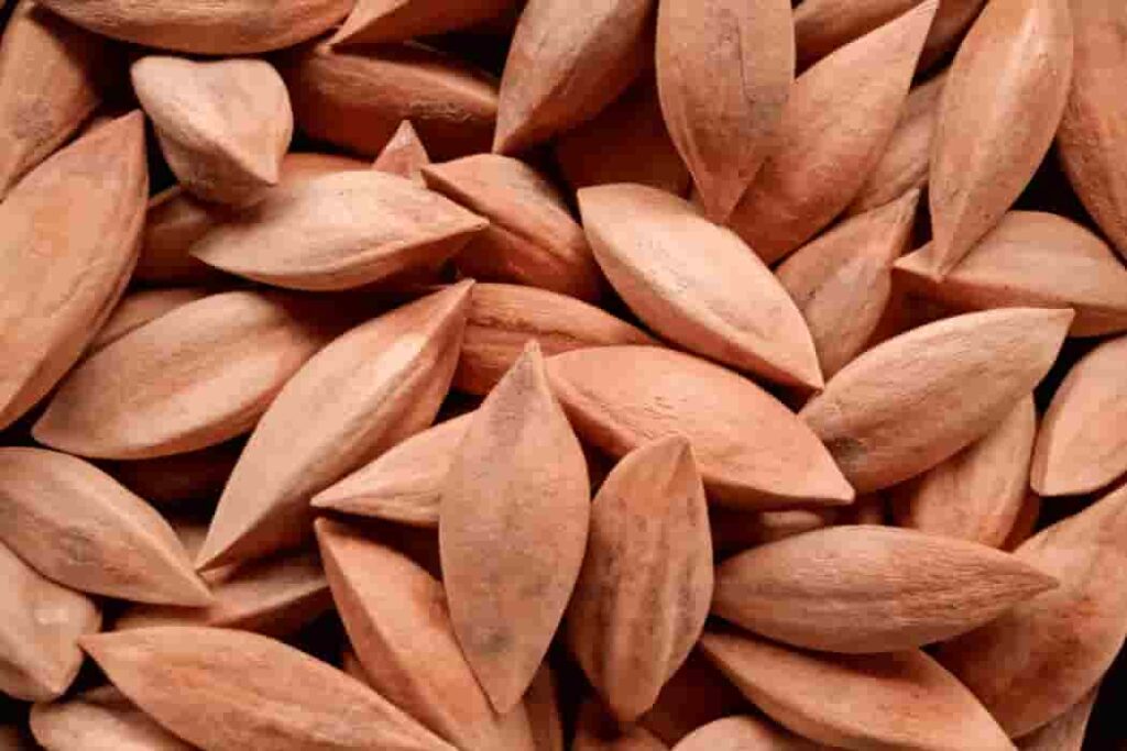 Pili Nuts