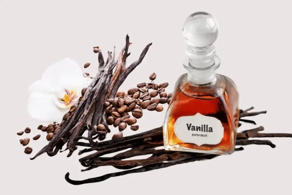 Vanilla Beans vs Vanilla Extract (1)