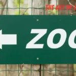 The Art of Zoo 1