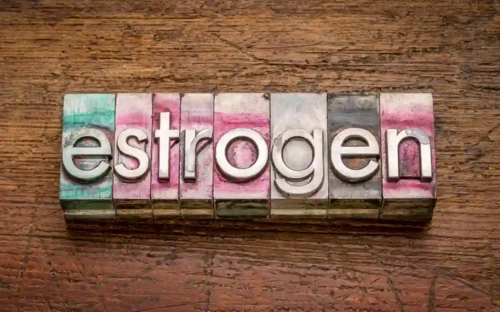 Foods high in estrogen