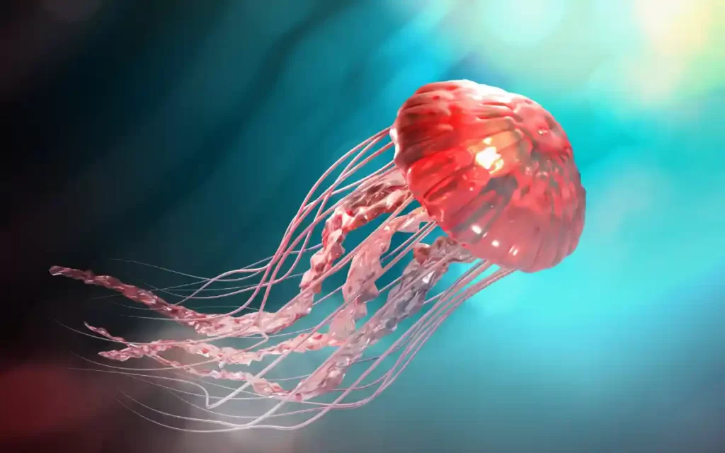 benefits of eating jellyfish