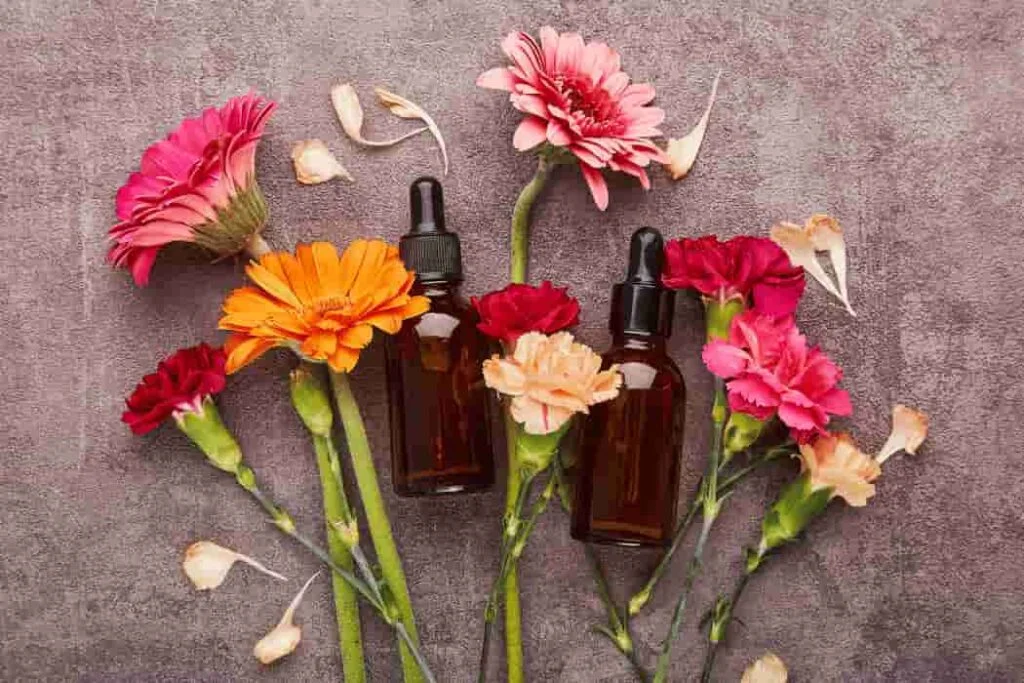 Bakuchiol Brilliance: The Natural Elixir for Youthful Skin Bakuchiol (1) (1)