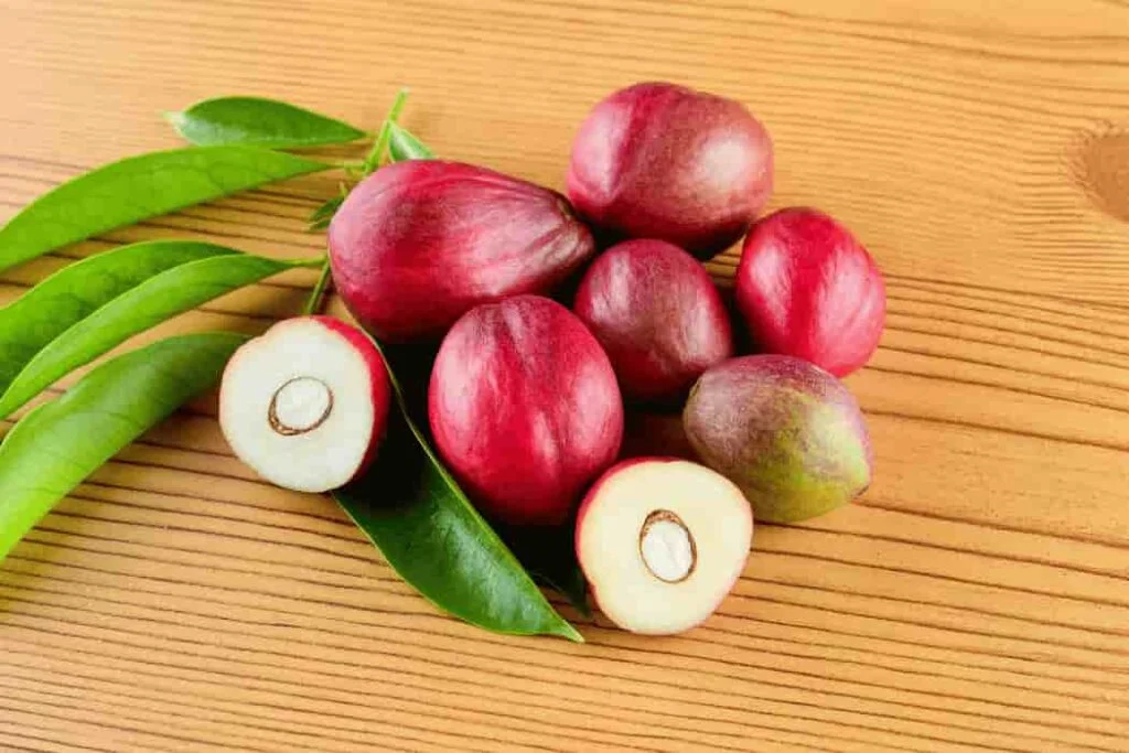 Effect of Mustika Dewa (Phaleria macrocarpa) Leaf Extract Mustika Dewa (1)