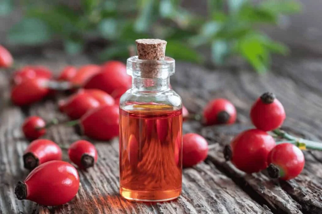 Rosehip Oil Radiance: Nurturing Skin with Nature’s Elixir Rosehip Oil