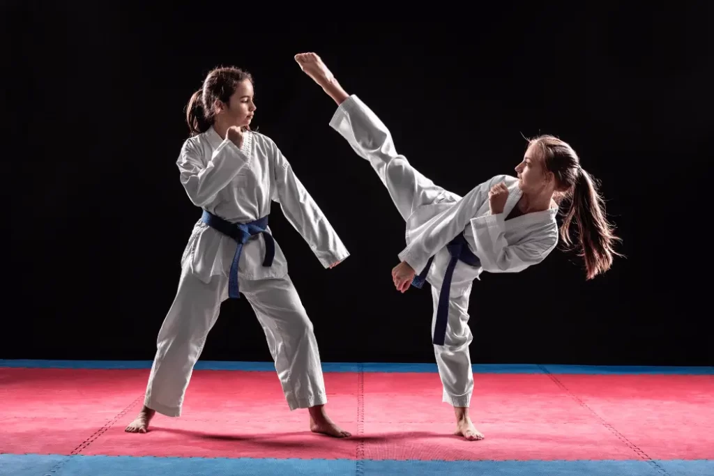 taekwondo vs karate