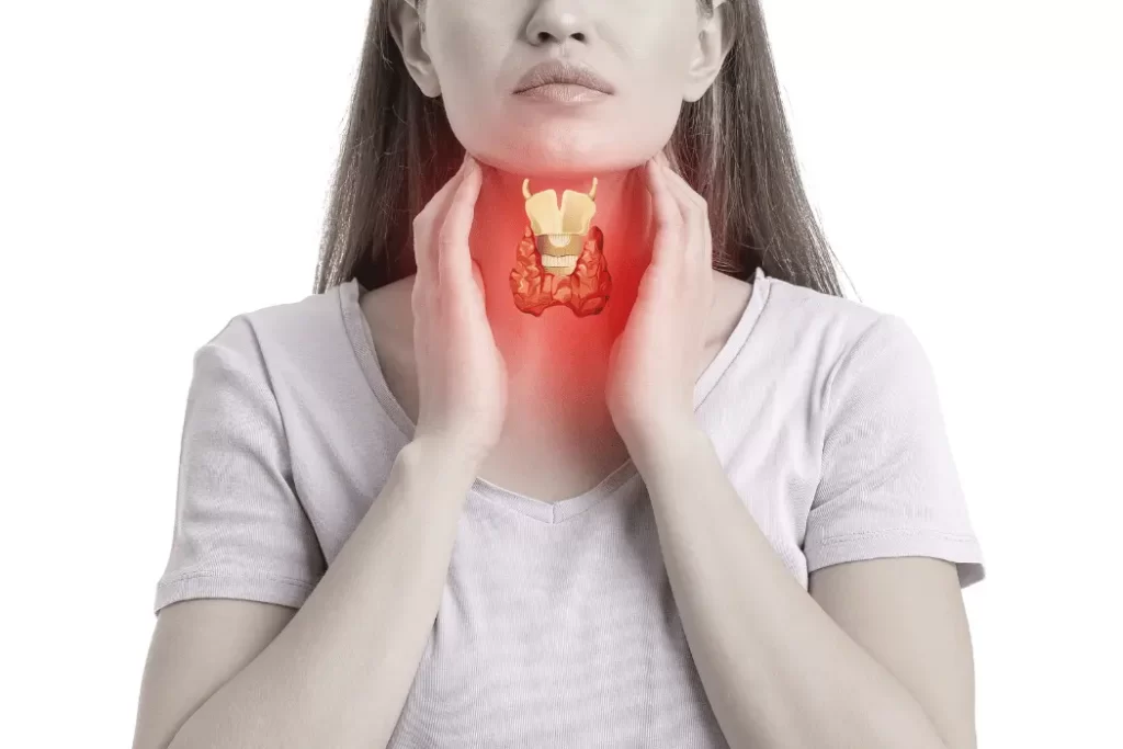 Thyroid Health Unveiled: Common Myths and Facts You Should Know Thyroid Health