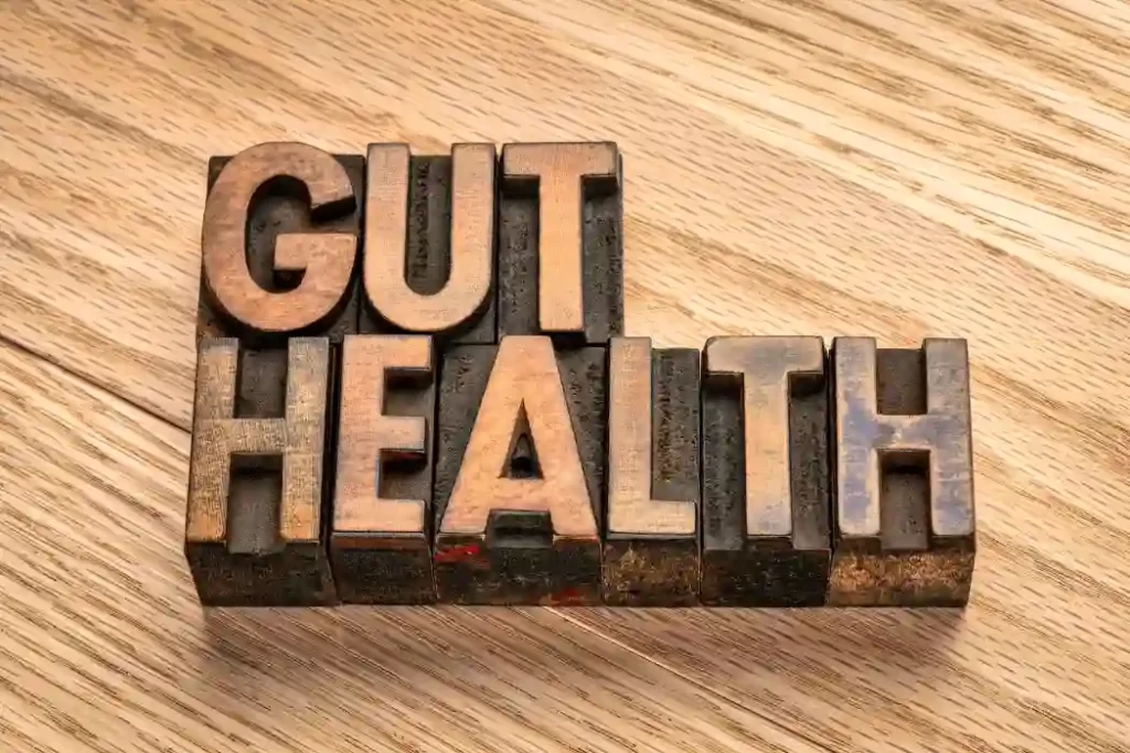Gut Health (1)