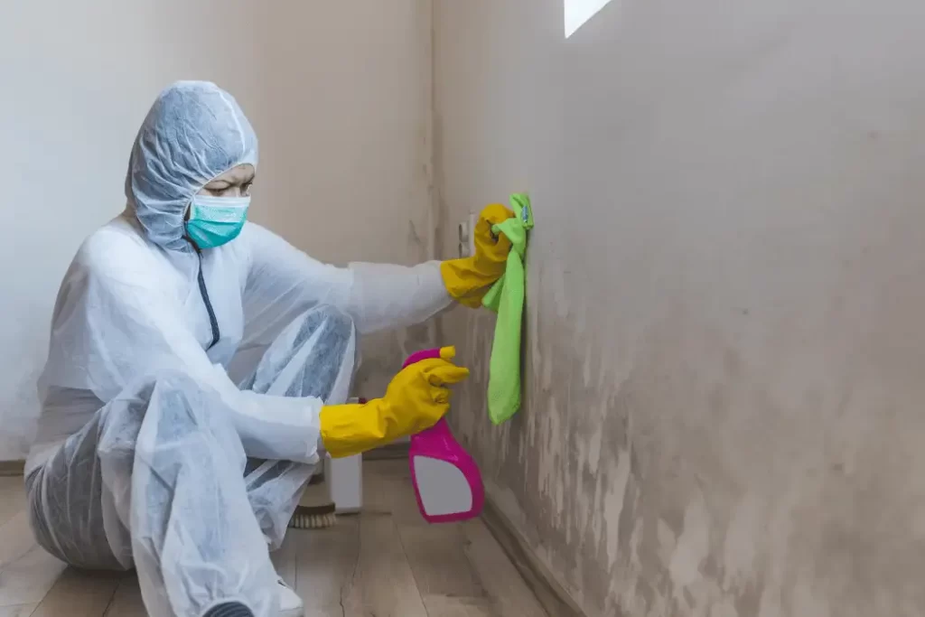 Mold Remediation