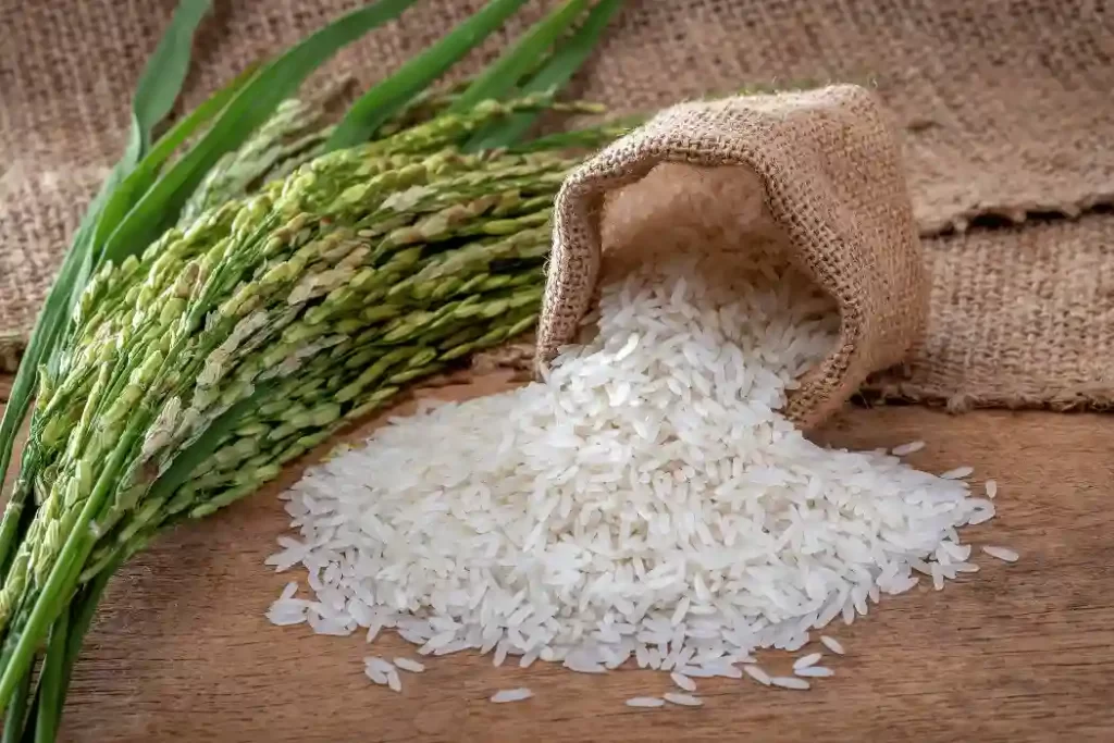 Rice Allergy (1)