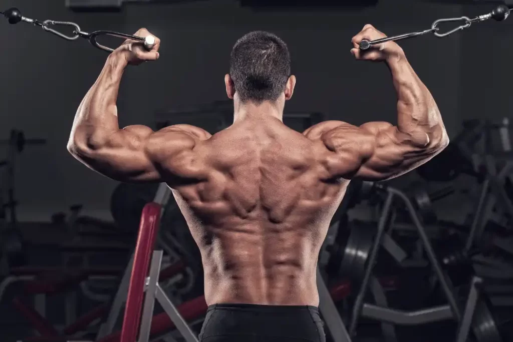 V Taper Workout (1)