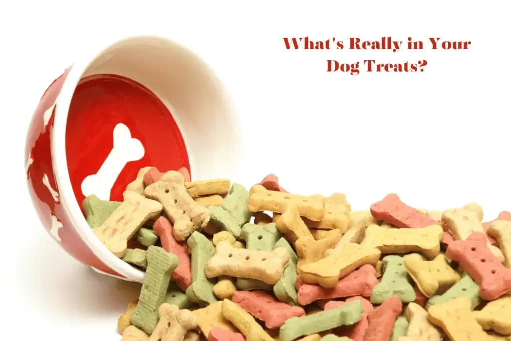 Dog Treats