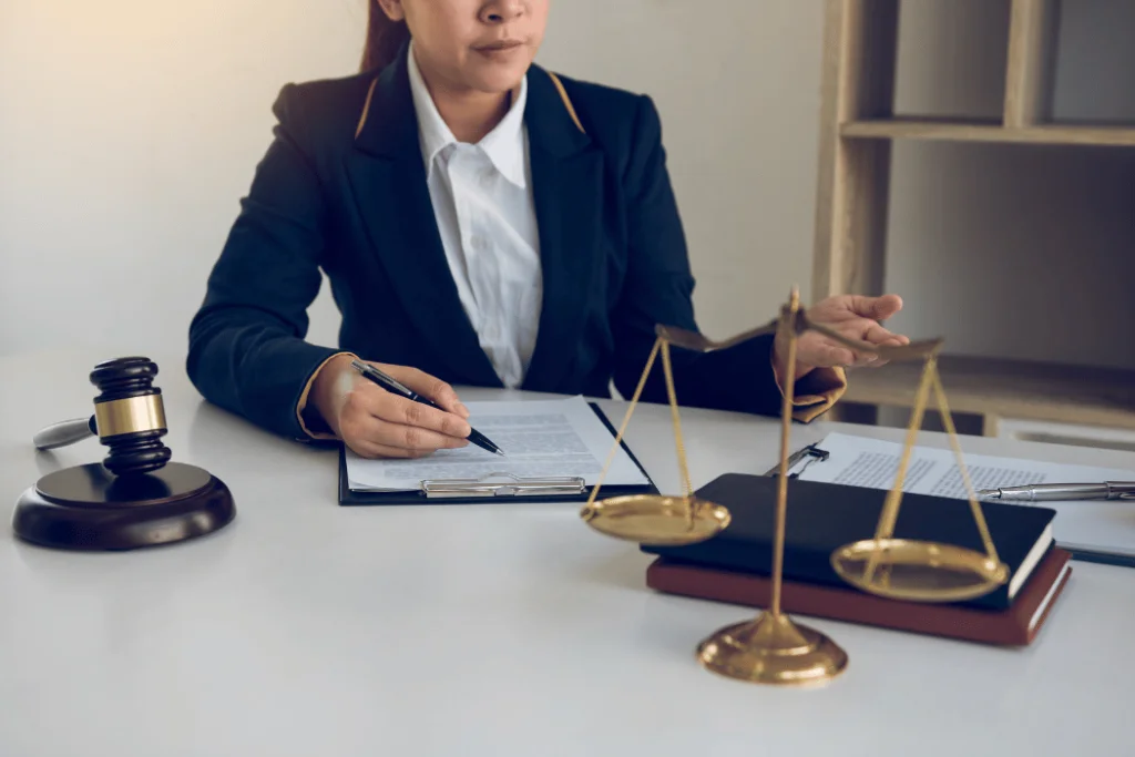 Litigation Lawyers (1)
