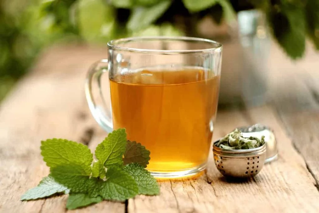 Surprising Benefits of Spearmint Tea and Essential Oil Spearmint Tea (1)