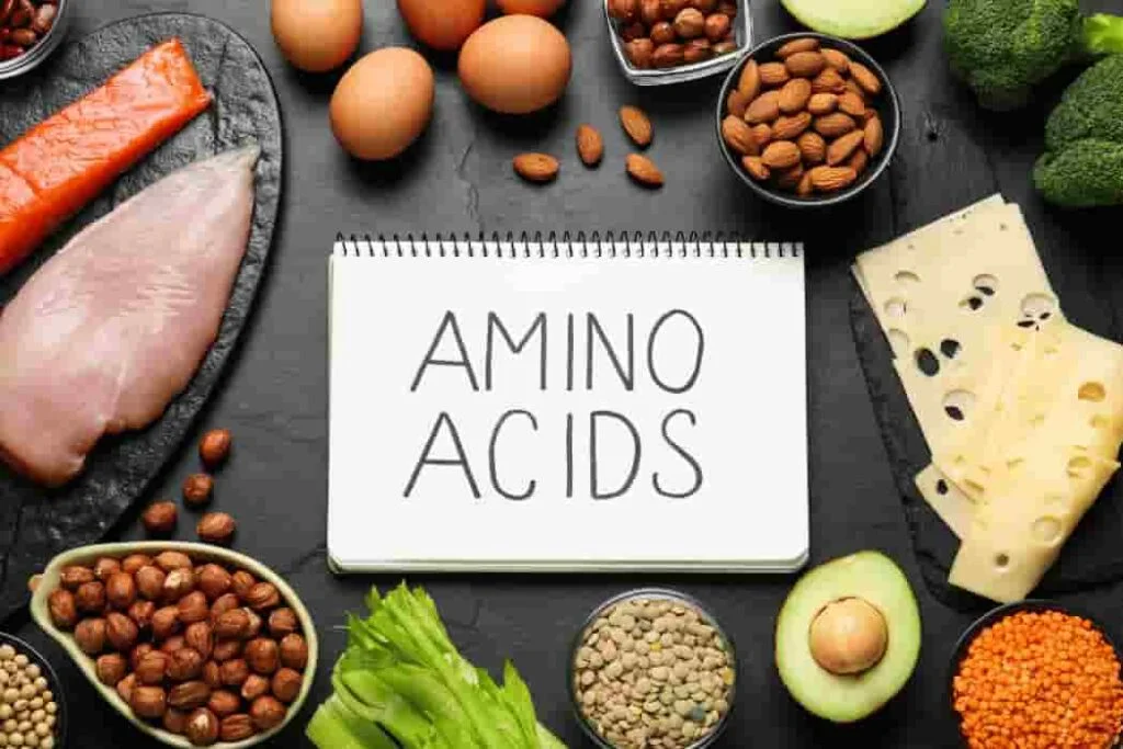 Amino Acids: Building Blocks for Health and Vitality Amino Acid (1)