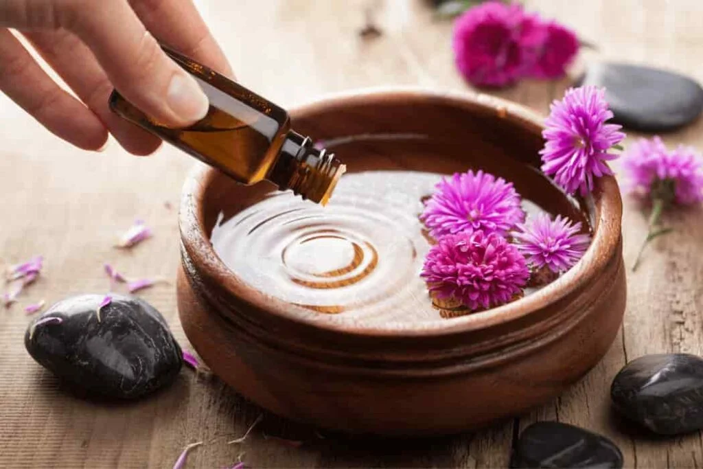 Carrier Oils: Natural Solutions for Skin and Hair Care Carrier Oils (1)