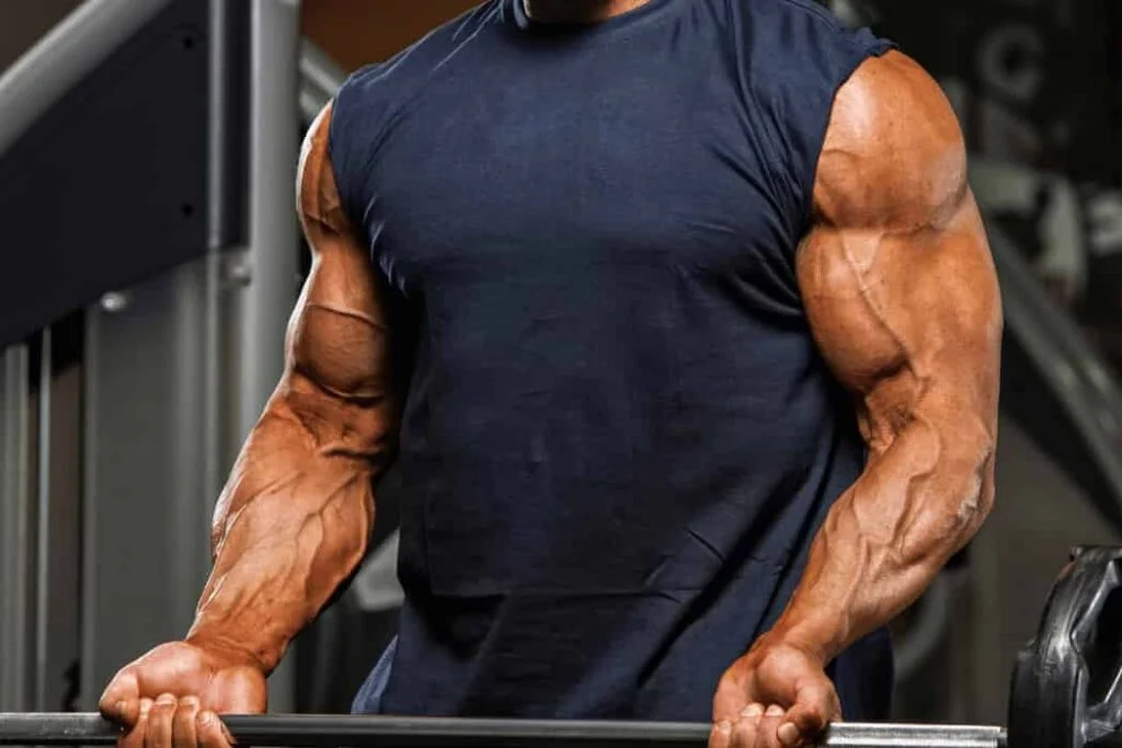 Muscle Building Mastery: Sculpting Strength and Definition Muscle Building