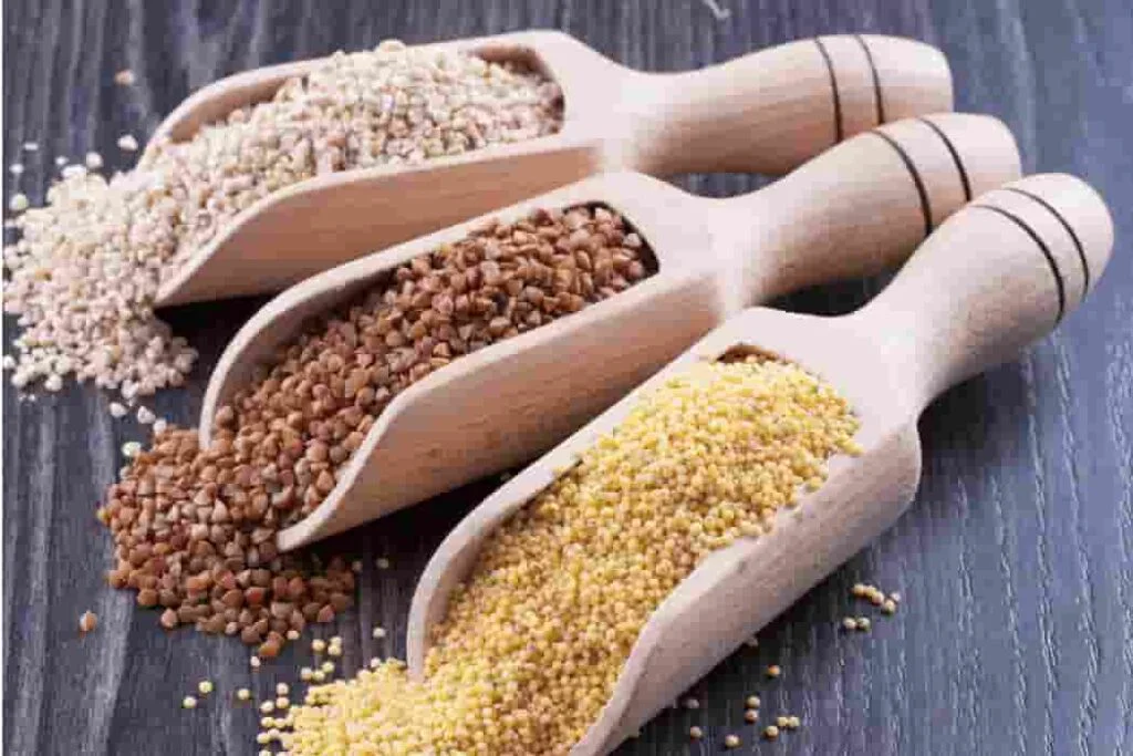 The Joy of Cebu Budbud Kabog Kabog Millet (1)