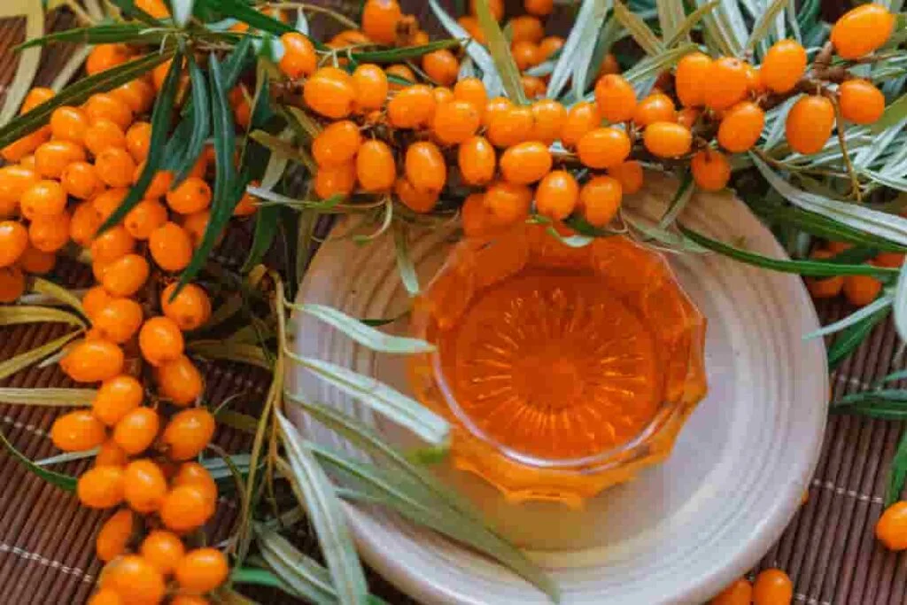 Sea Buckthorn Oil (1)