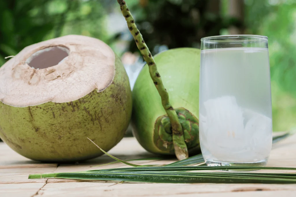 Tuba Drink (Coconut Wine): A Symphony of Flavors Tuba Drink (1)