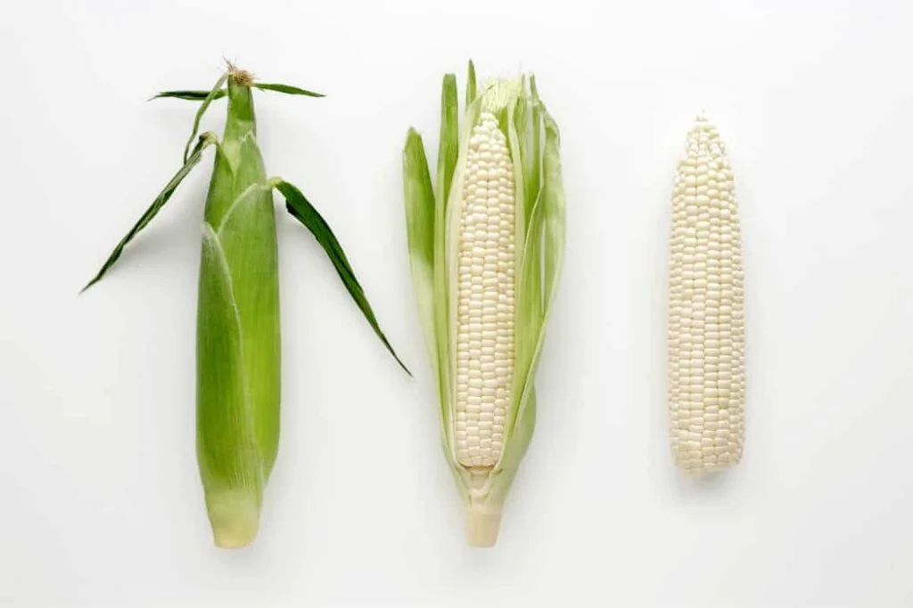 white corn